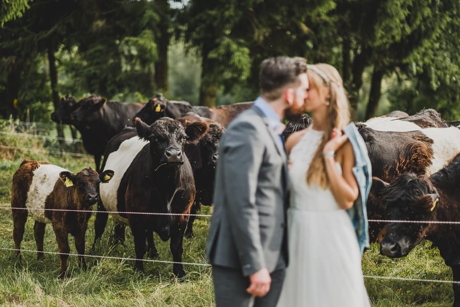 Hochzeit mit Vieh und Landwirtschaft
