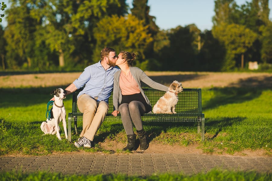 Paar küsst sich auf einer Bank daneben Hunde