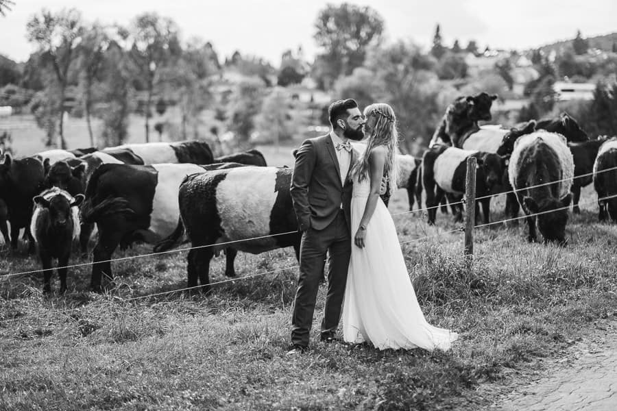 Kurioses Hochzeitsfoto Rinder machen sex hinter dem Brautpaar
